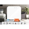 Bramka ZigBee→WiFi Tuya Smart Life
